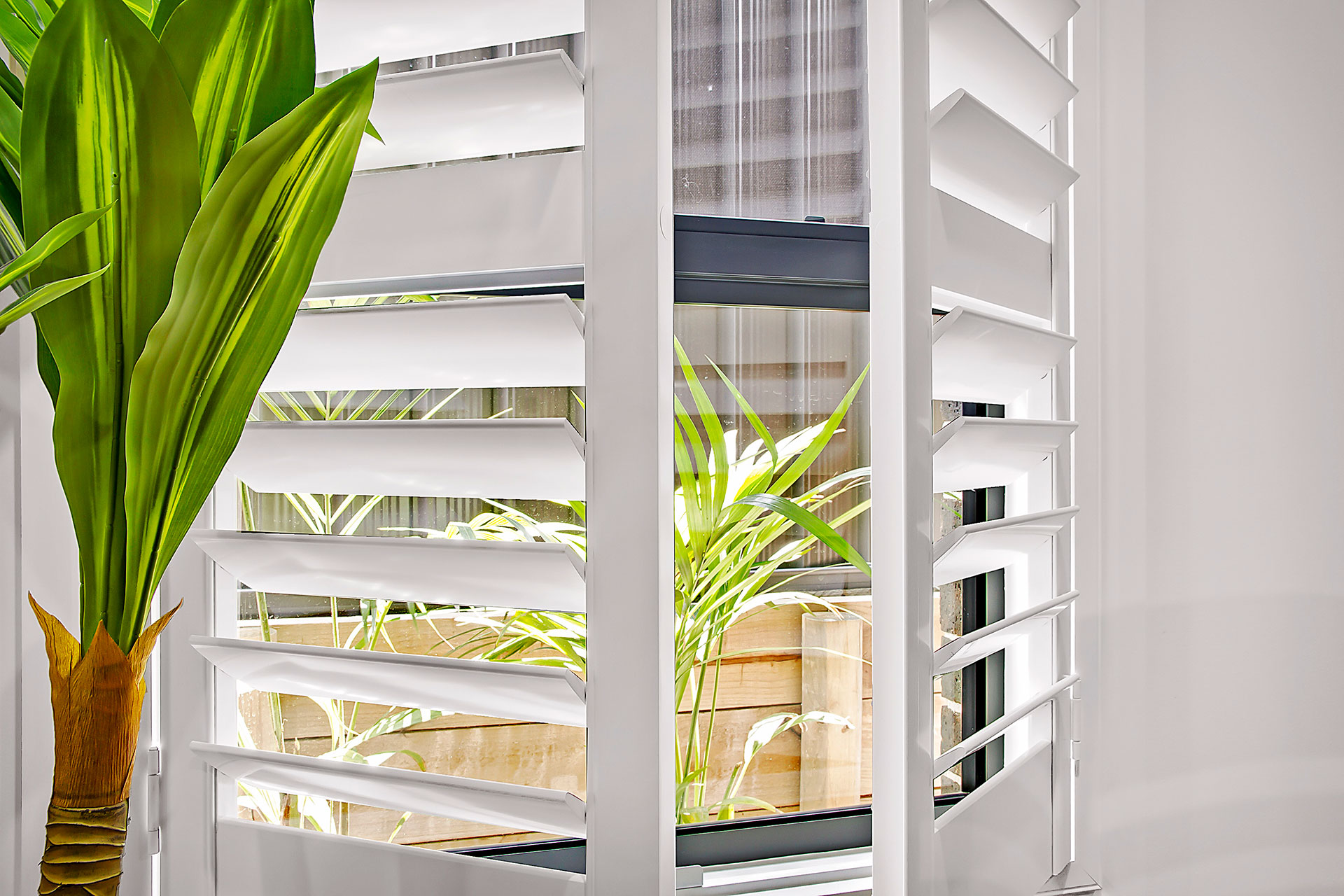 Buy Plantation Shutters Online Order Now Modern Online